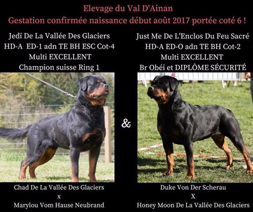 De La Vallée Du Val D'Ainan - les bb sont arrivés ! 